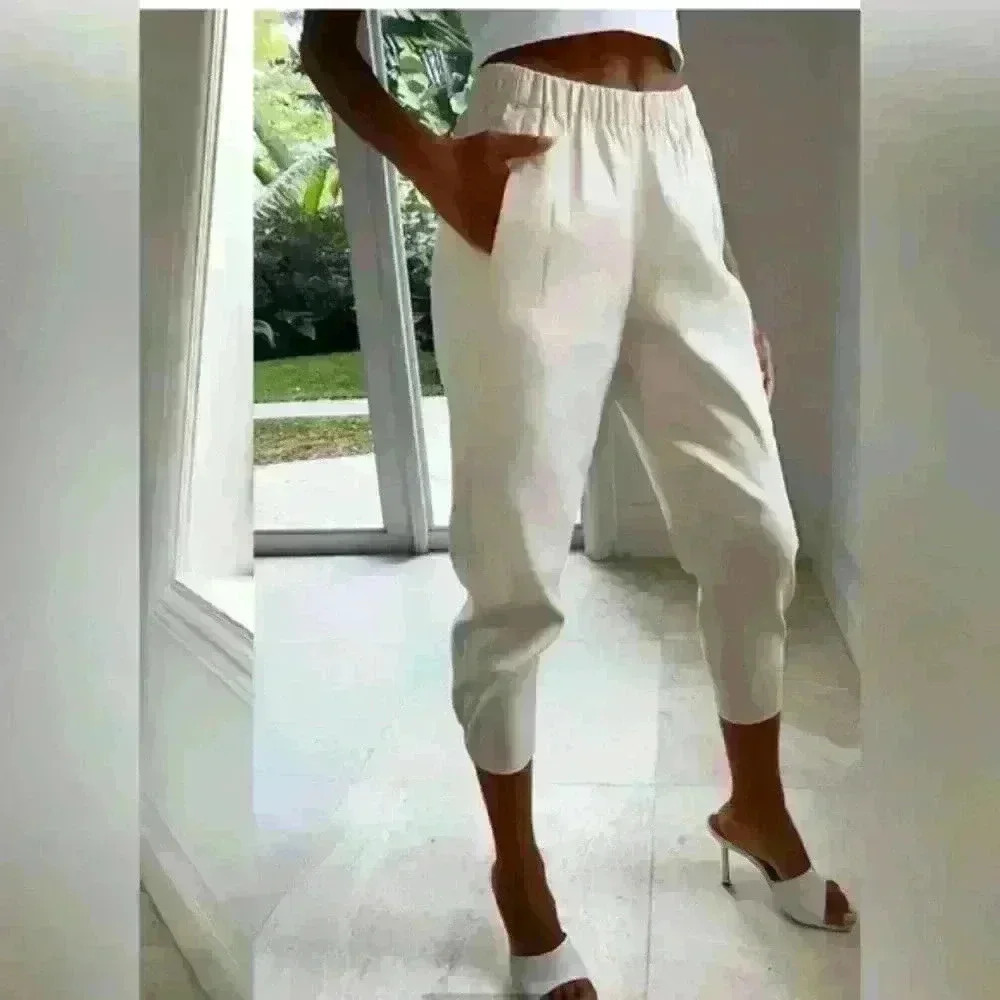 Babaton Aritzia Dexter Lightweight Linen Pant Light Gray Trousers size XS